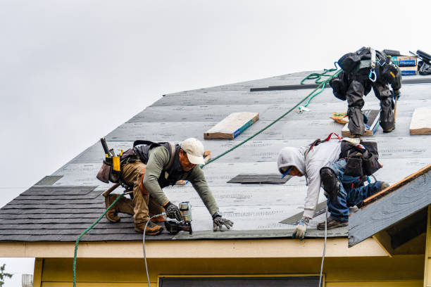 Professional Gutter Installation technician working in Pisgah Forest, NC